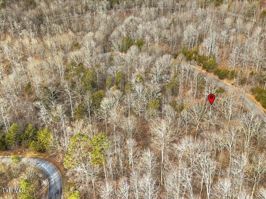 Photo #16: Lot 499 Citron Lane