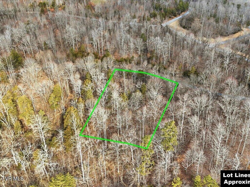 Photo #17: Lot 499 Citron Lane