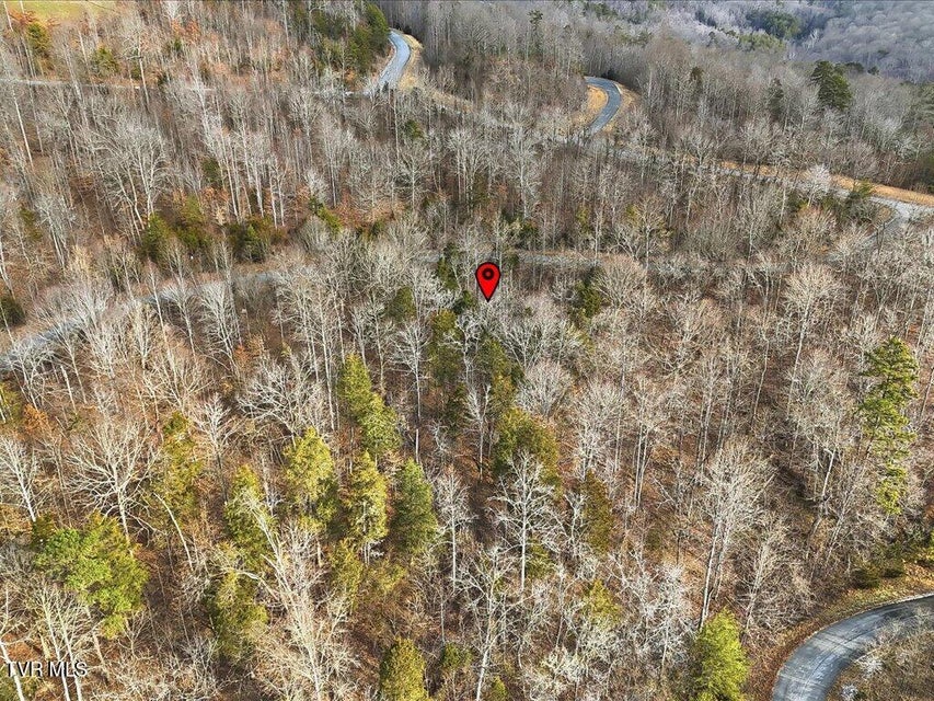 Photo #18: Lot 499 Citron Lane