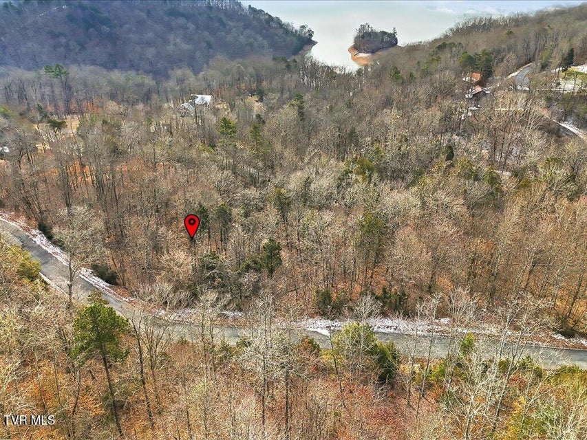 Photo #21: Lot 499 Citron Lane