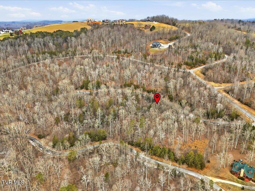 Photo #26: Lot 499 Citron Lane