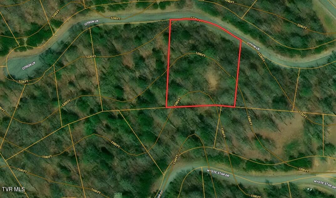 Photo #34: Lot 499 Citron Lane