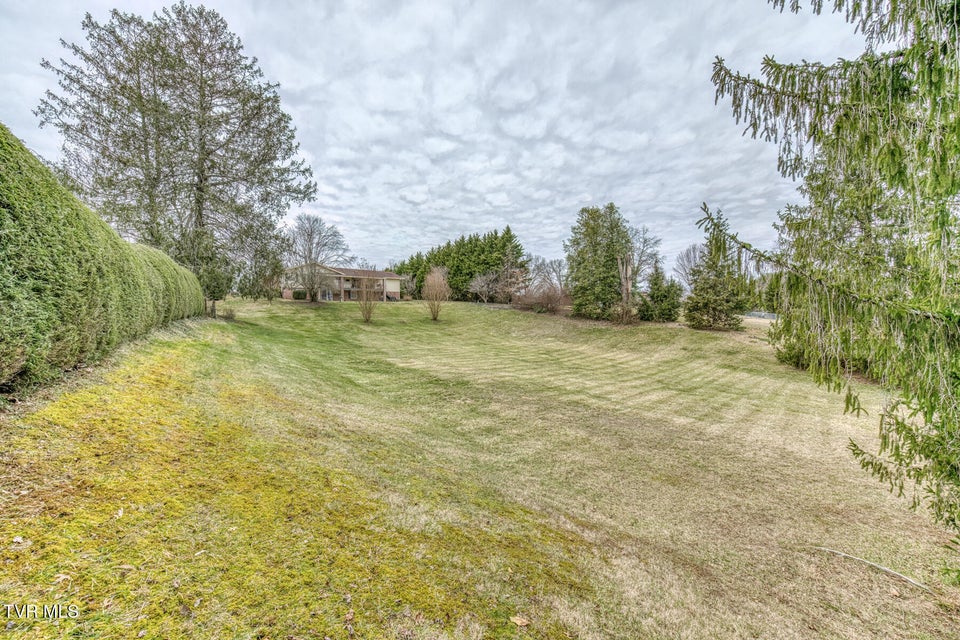 Photo #62: 305 Overbrook Drive