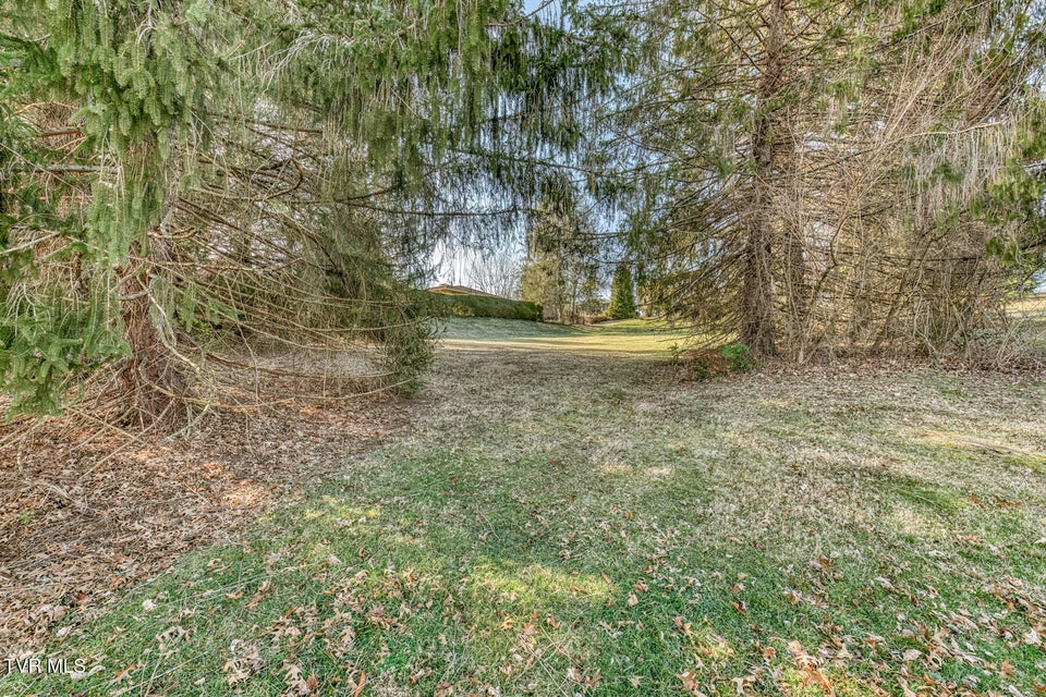 Photo #88: 305 Overbrook Drive