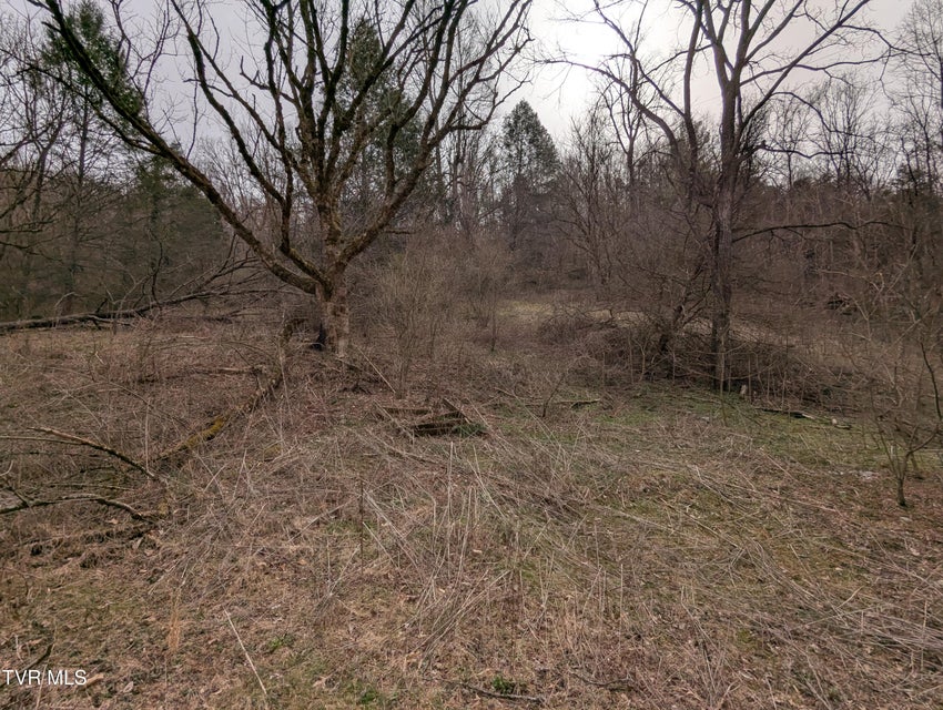 Photo #2: 1674 Shavers Ford Road