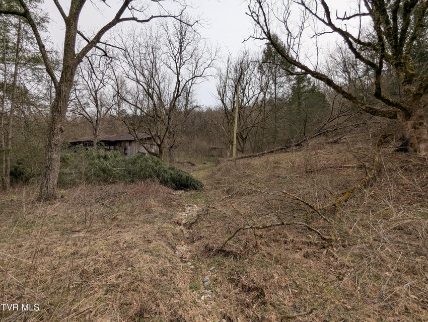 Photo #3: 1674 Shavers Ford Road