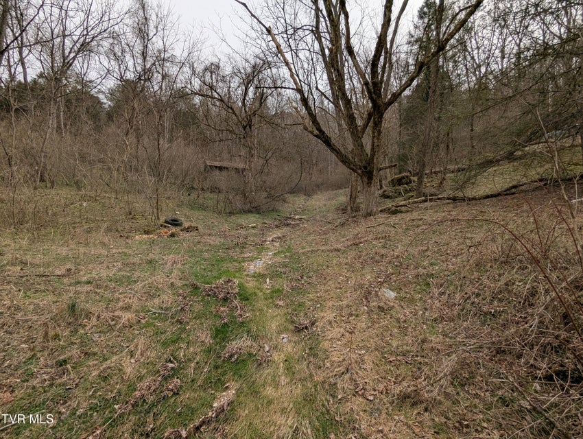 Photo #5: 1674 Shavers Ford Road