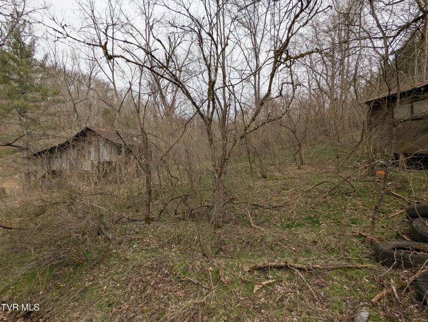 Photo #6: 1674 Shavers Ford Road