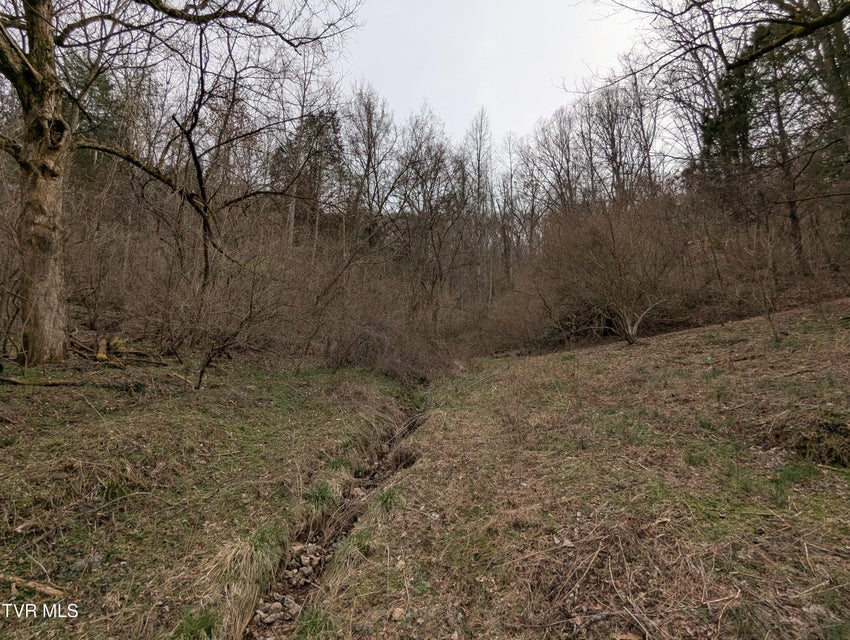 Photo #7: 1674 Shavers Ford Road