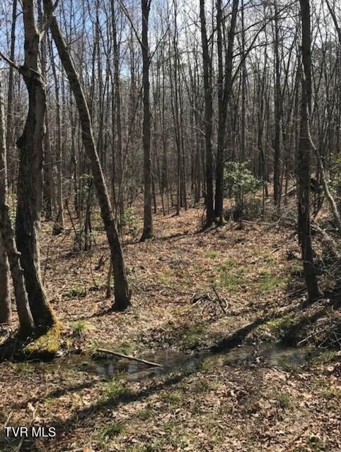 Photo #2: 897 Parkstown Road