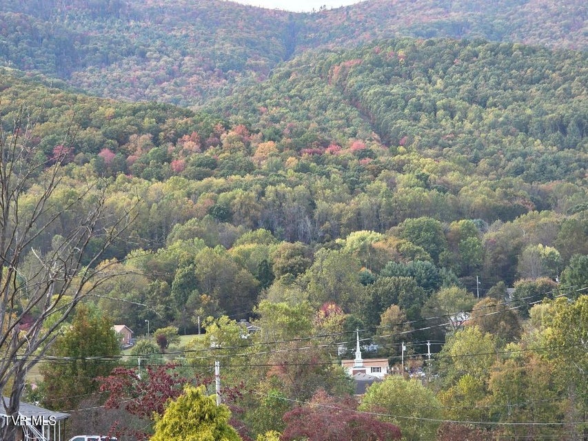 Photo #18: 135 Unaka Subdivision Road