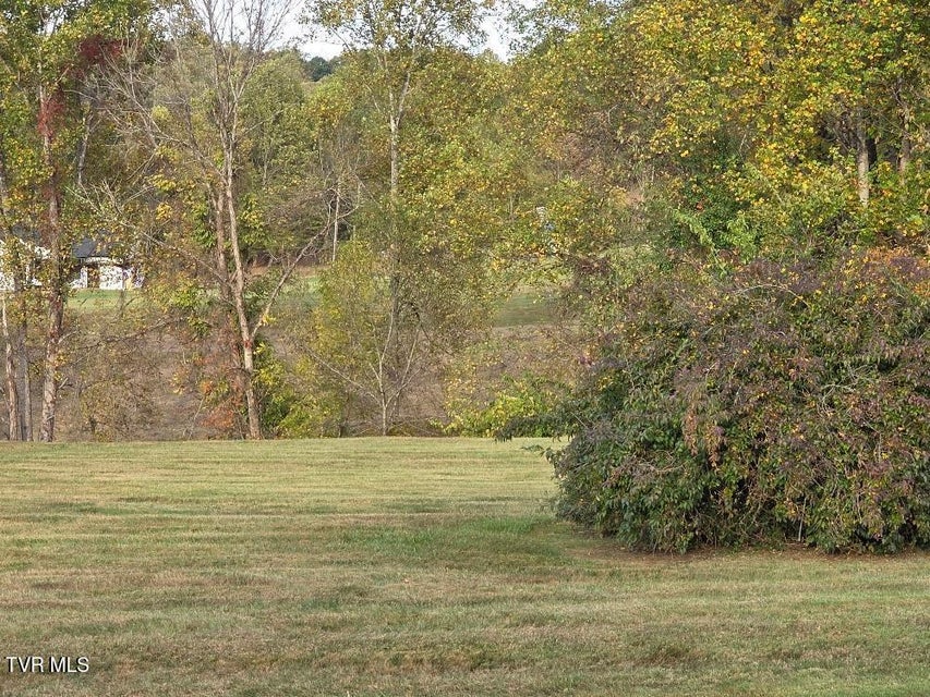 Photo #21: 135 Unaka Subdivision Road