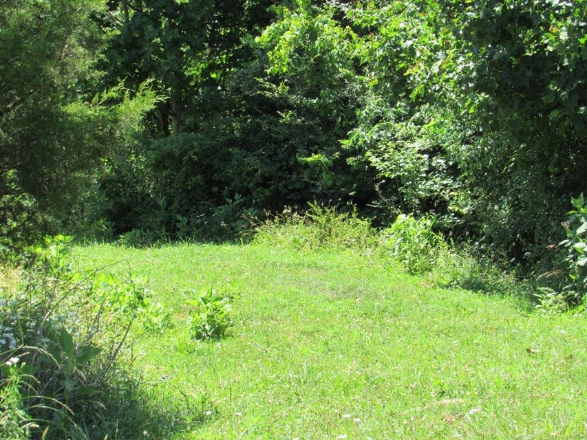 Photo #3: Lot 5a Logan Creek Road