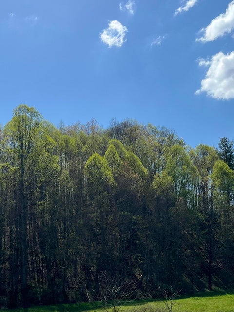 Photo #10: Tbd A Davis Lane