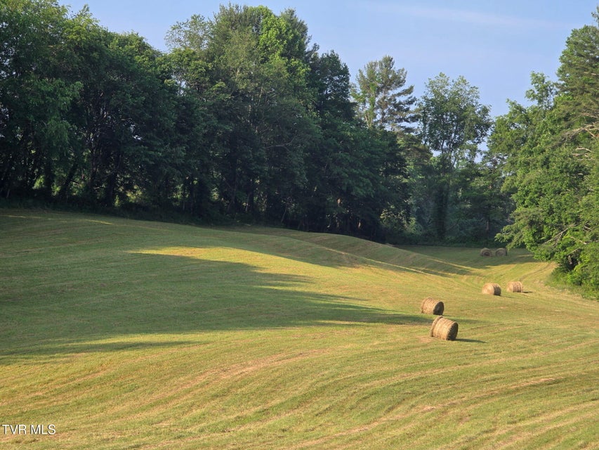 Photo #2: Tbd A Davis Lane