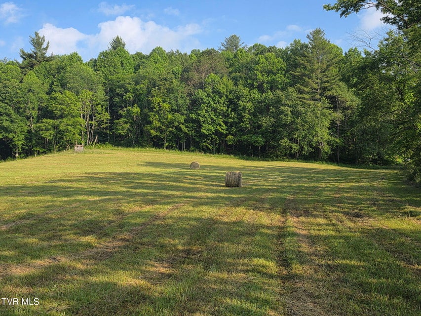 Photo #6: Tbd A Davis Lane