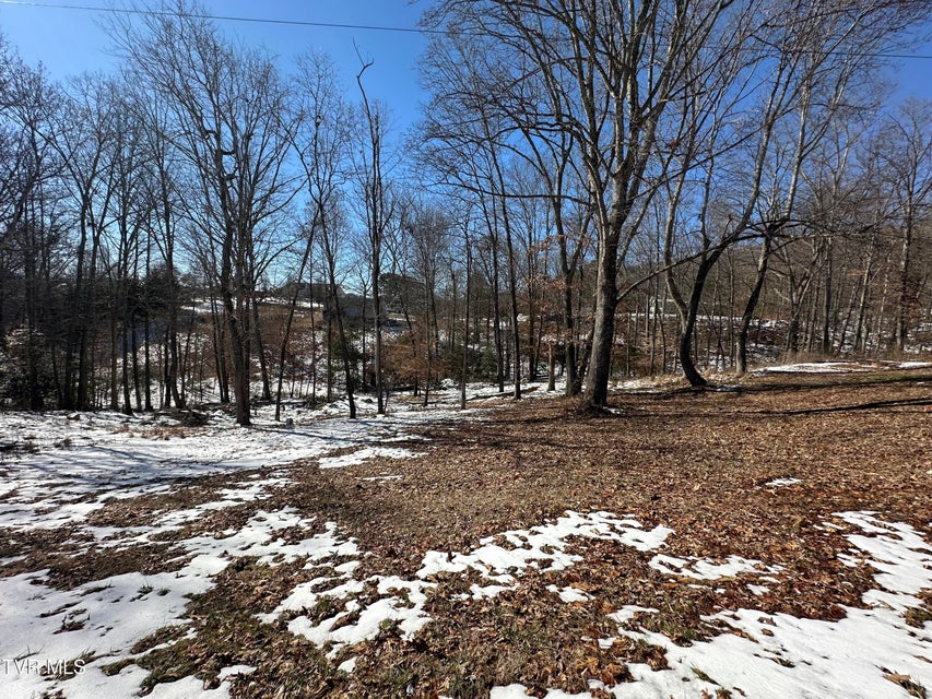 Photo #44: 144 Zeb Grindstaff Road