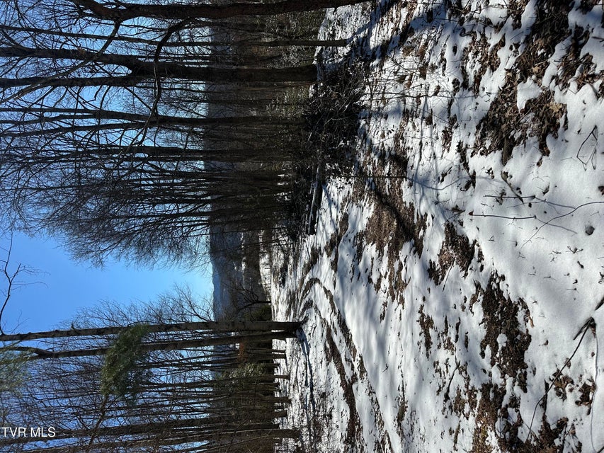 Photo #46: 144 Zeb Grindstaff Road