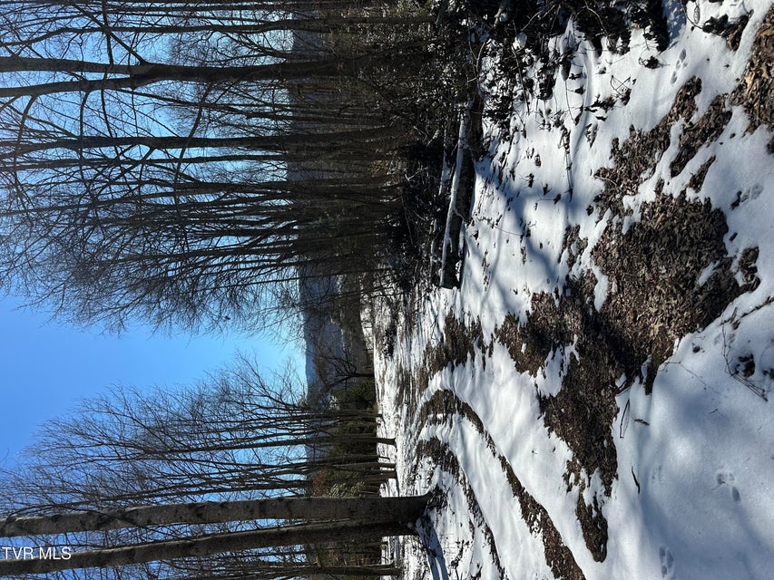 Photo #47: 144 Zeb Grindstaff Road