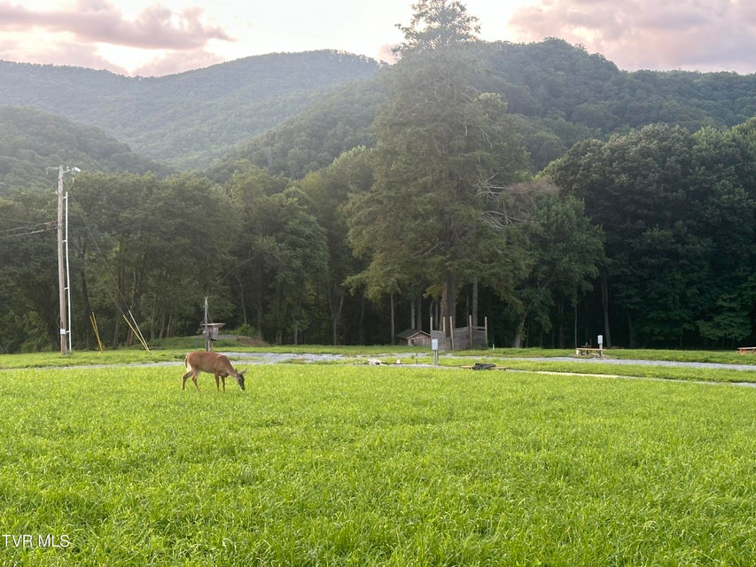 Photo #8: 137 Dyer Road