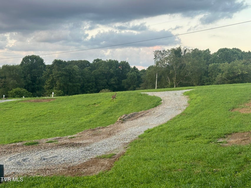 Photo #12: 137 Dyer Road