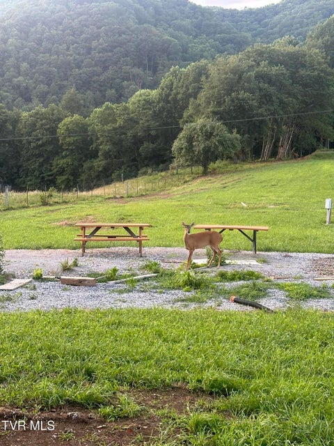 Photo #13: 137 Dyer Road