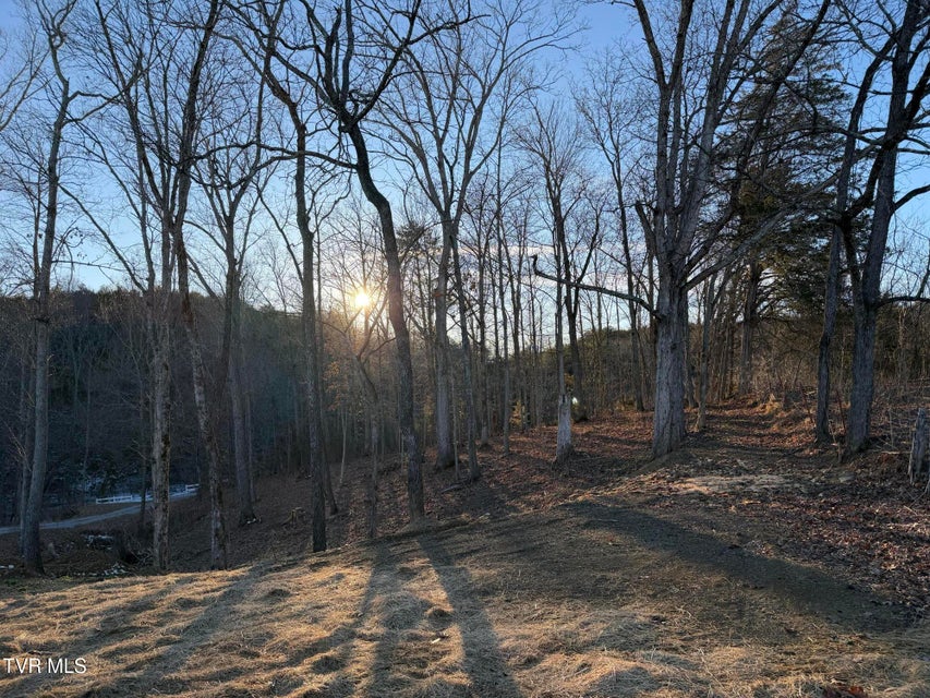 Photo #12: 220 Redwood Lane