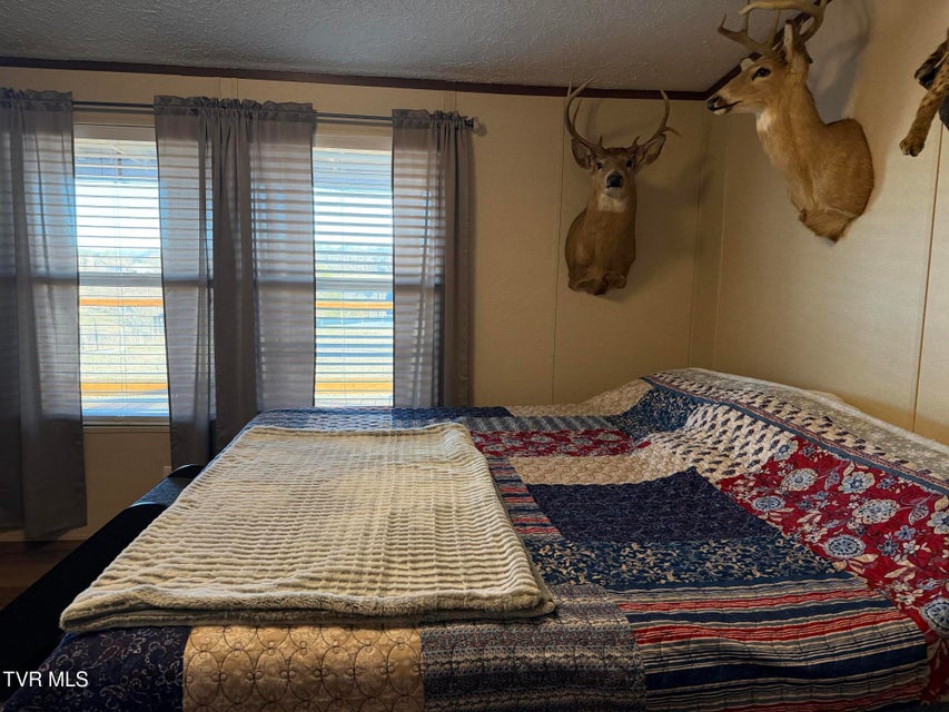 Photo #29: 220 Redwood Lane