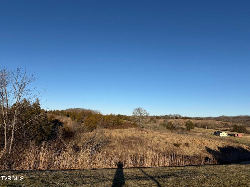 Photo #4: 220 Redwood Lane