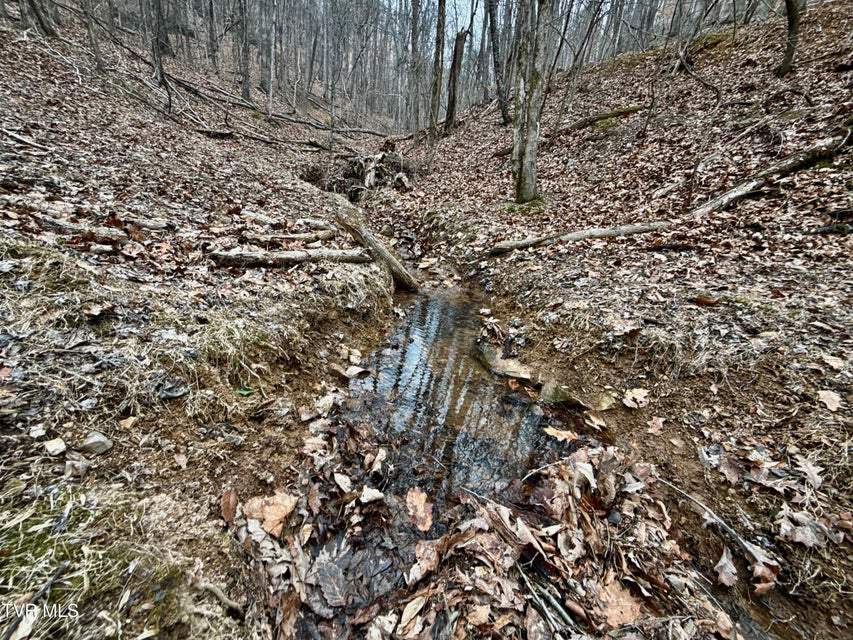 Photo #4: 7/Ac Pinnacle Point