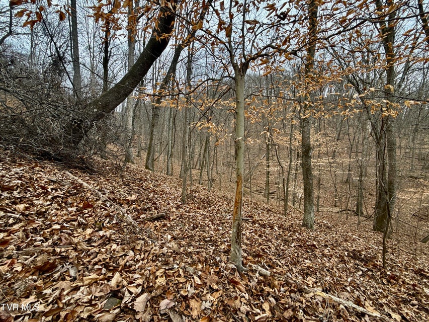 Photo #6: 7/Ac Pinnacle Point