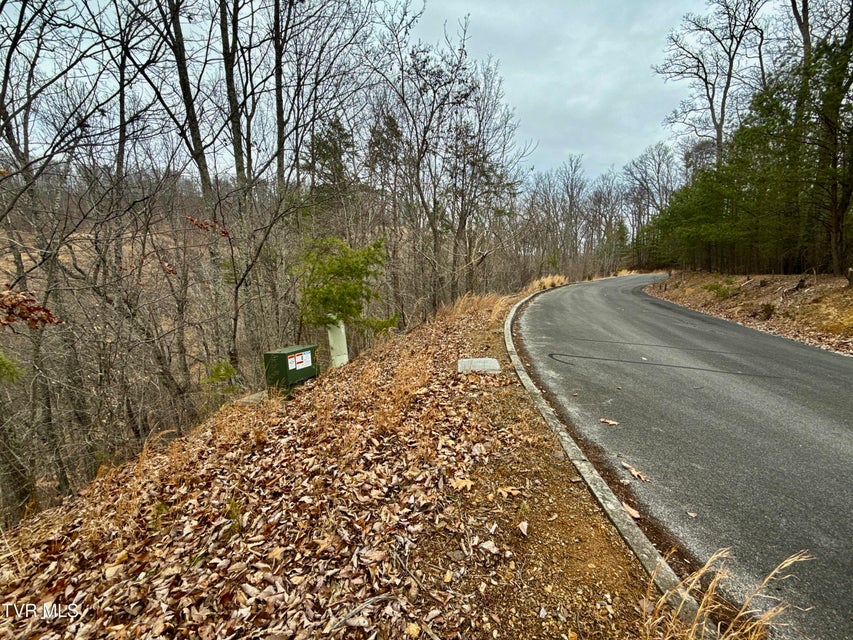 Photo #7: 7/Ac Pinnacle Point