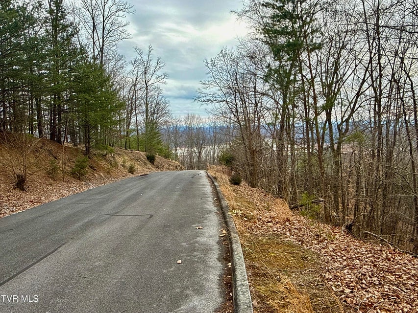 Photo #8: 7/Ac Pinnacle Point