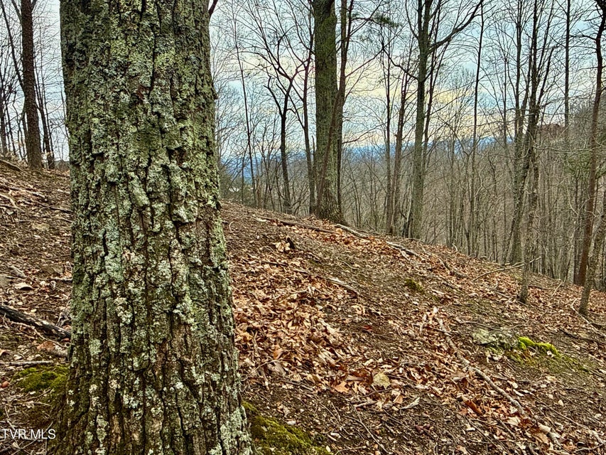 Photo #9: 7/Ac Pinnacle Point