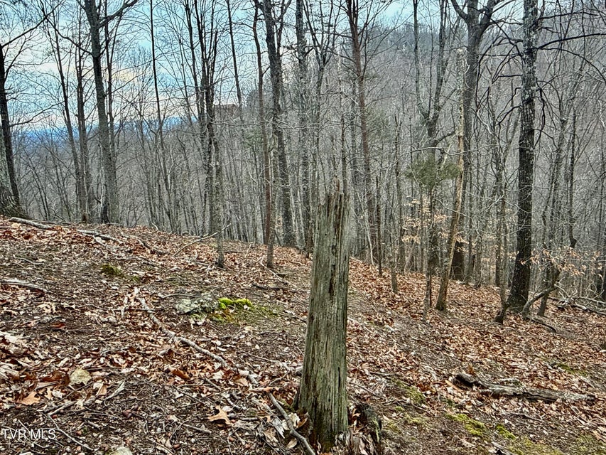 Photo #11: 7/Ac Pinnacle Point