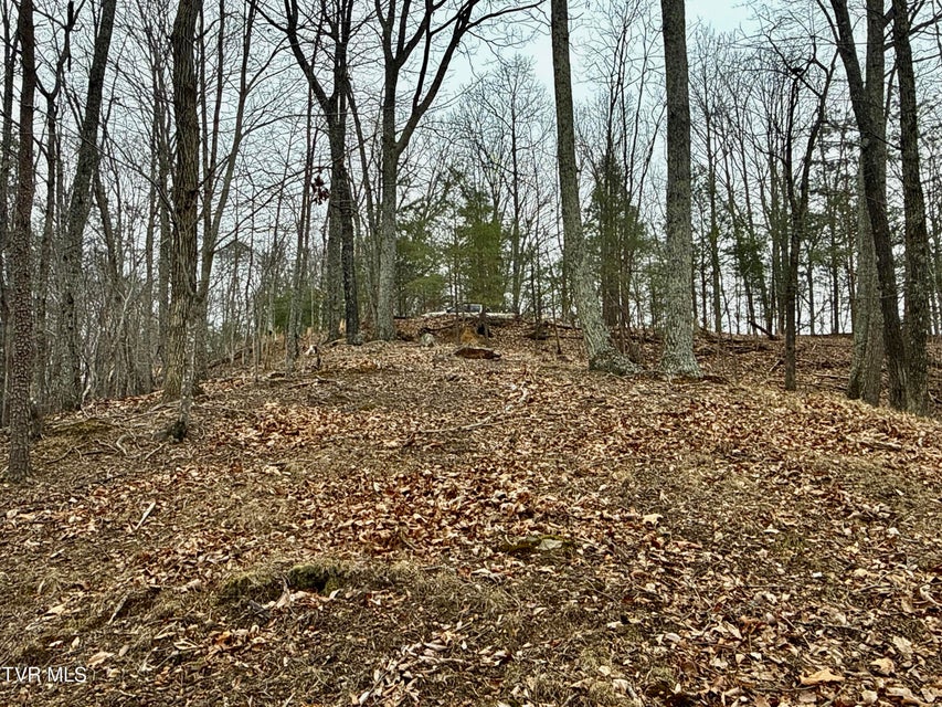 Photo #12: 7/Ac Pinnacle Point