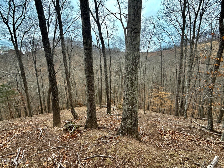 Photo #14: 7/Ac Pinnacle Point