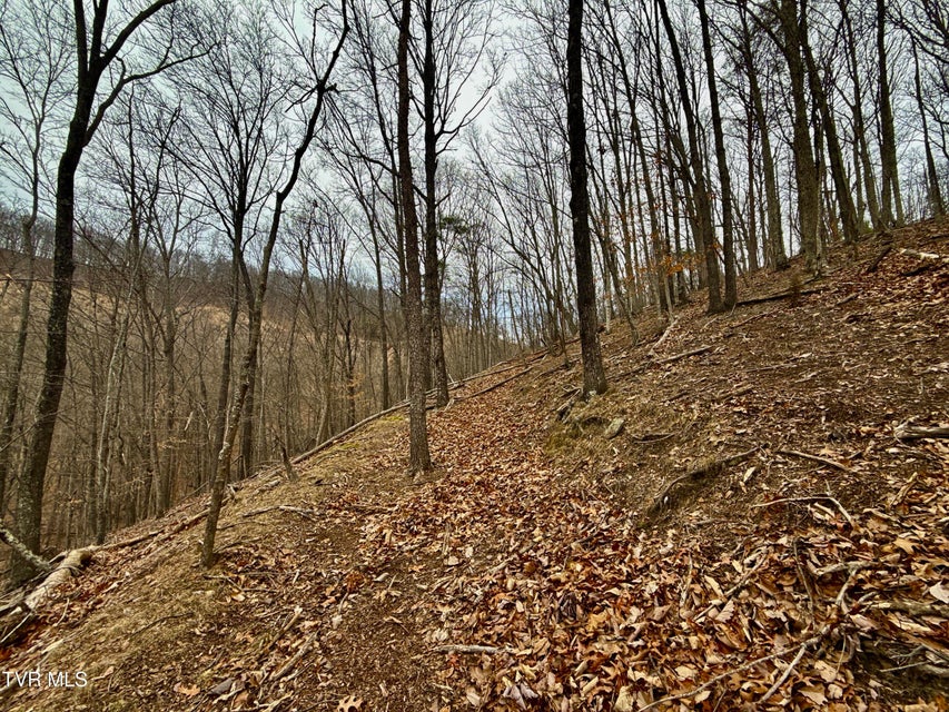 Photo #16: 7/Ac Pinnacle Point