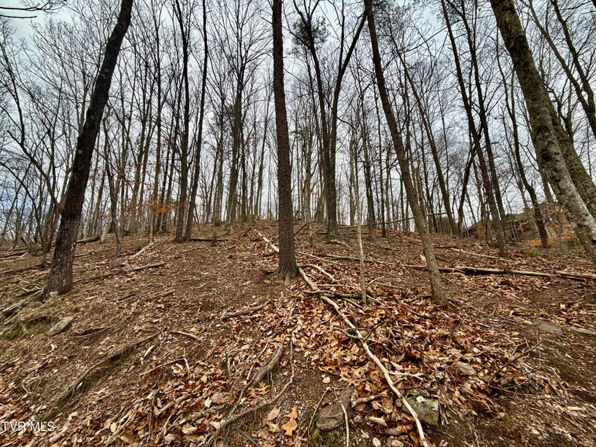 Photo #17: 7/Ac Pinnacle Point