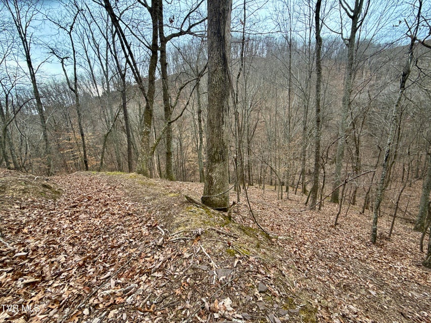 Photo #18: 7/Ac Pinnacle Point