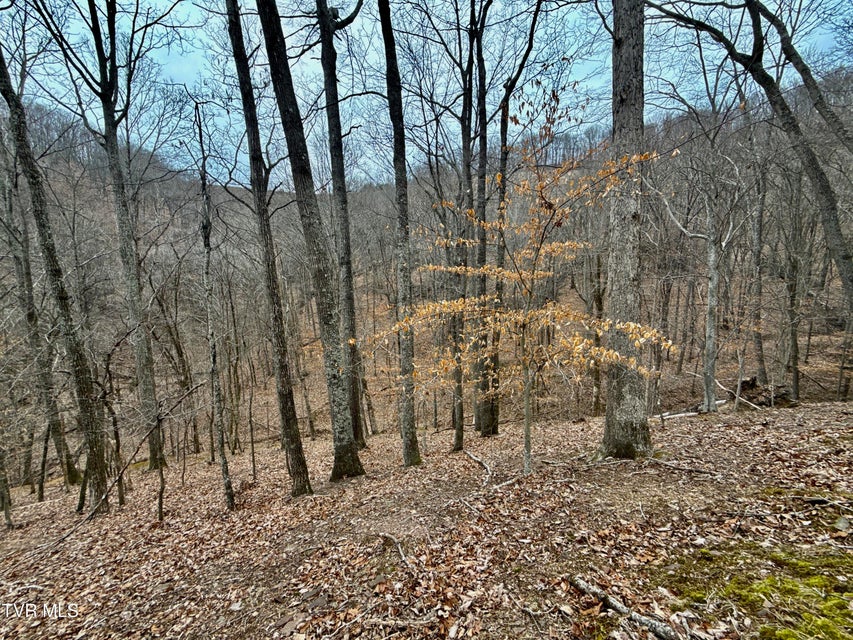 Photo #19: 7/Ac Pinnacle Point