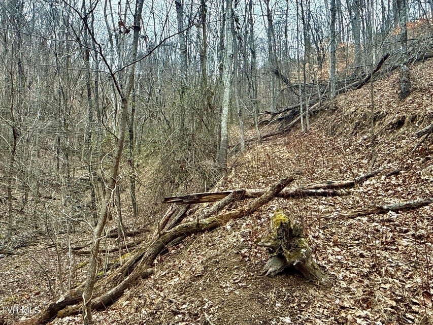 Photo #22: 7/Ac Pinnacle Point