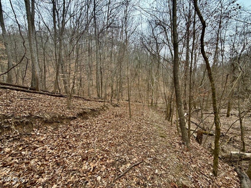 Photo #23: 7/Ac Pinnacle Point