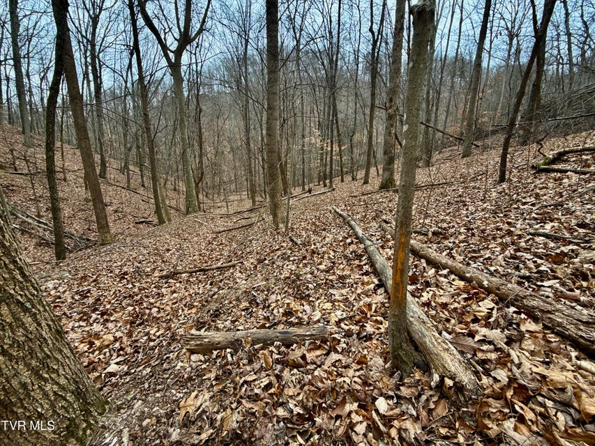 Photo #24: 7/Ac Pinnacle Point