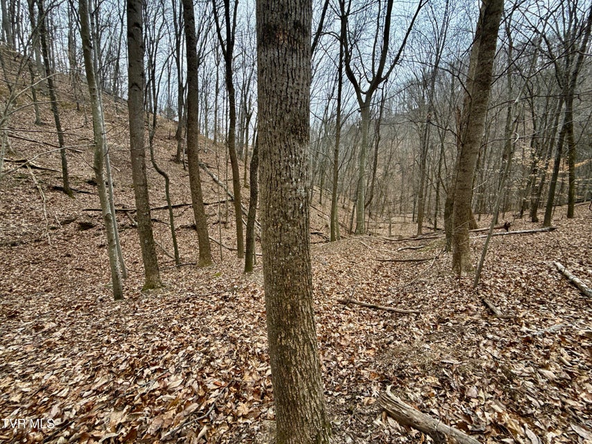 Photo #25: 7/Ac Pinnacle Point