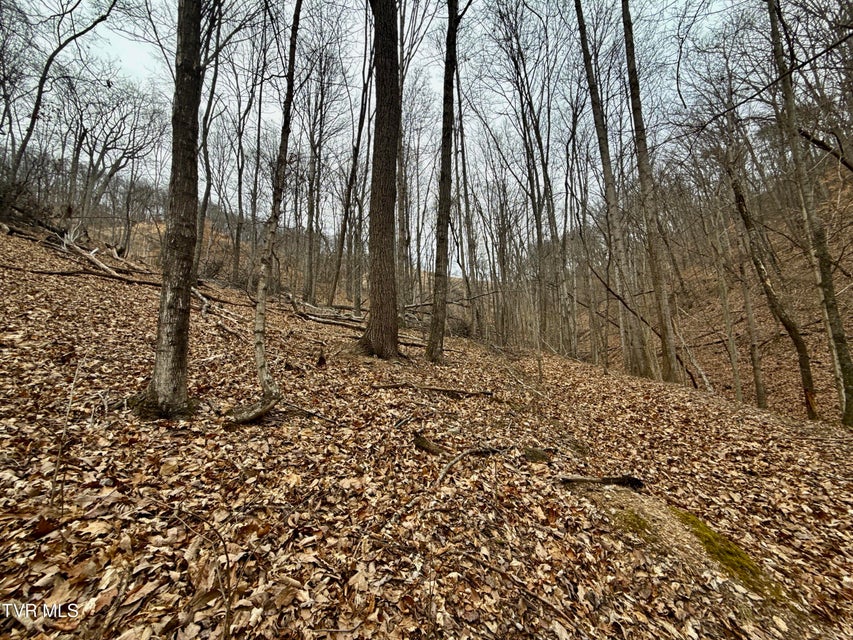 Photo #26: 7/Ac Pinnacle Point