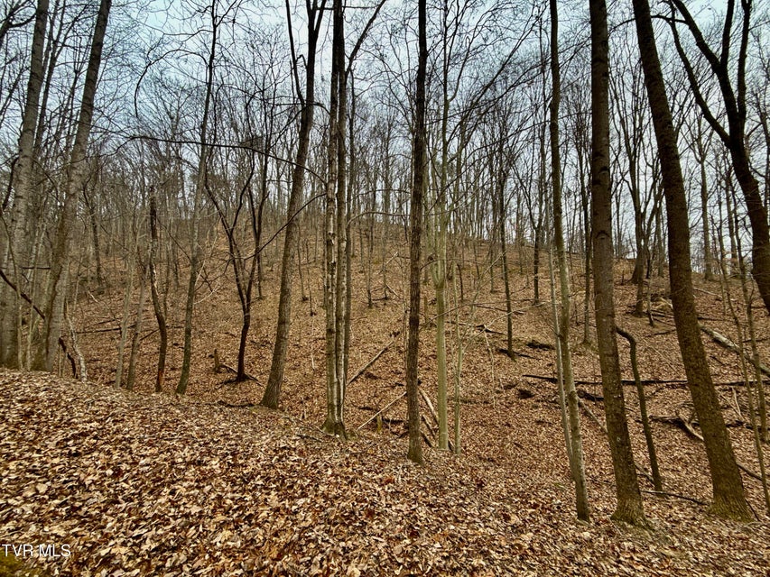 Photo #27: 7/Ac Pinnacle Point