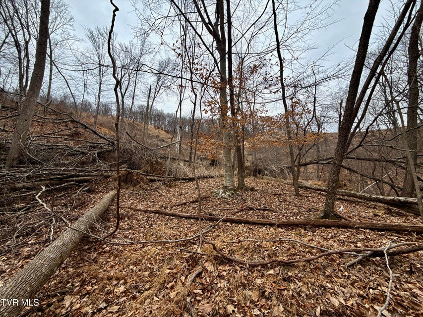 Photo #28: 7/Ac Pinnacle Point