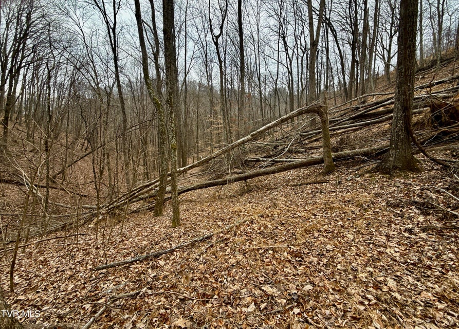 Photo #29: 7/Ac Pinnacle Point