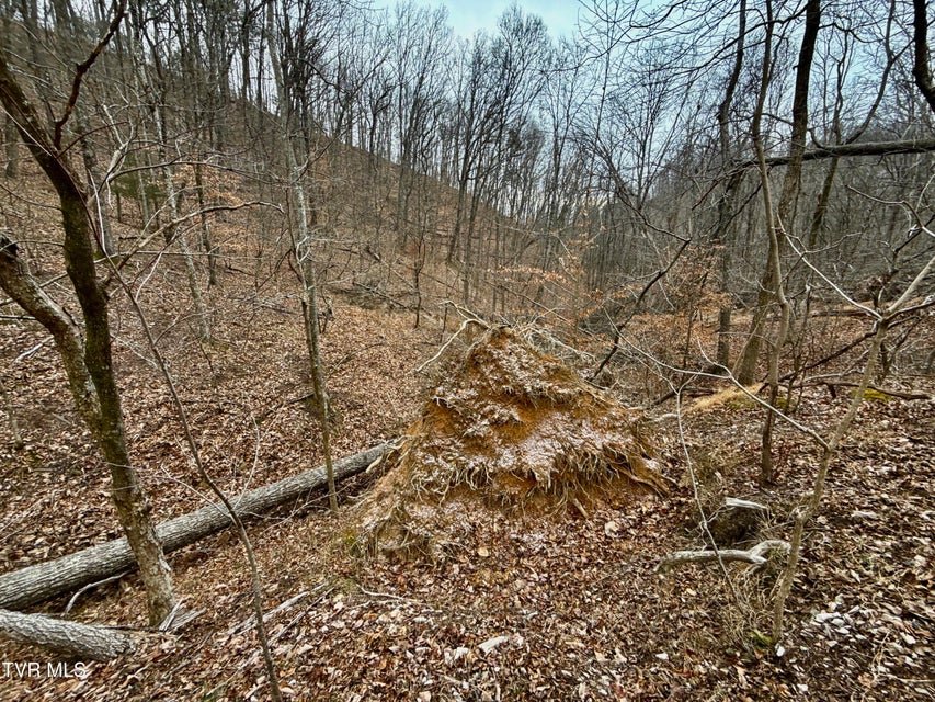 Photo #30: 7/Ac Pinnacle Point